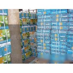 浙江加盟牌批發(fā)與供應市場分析